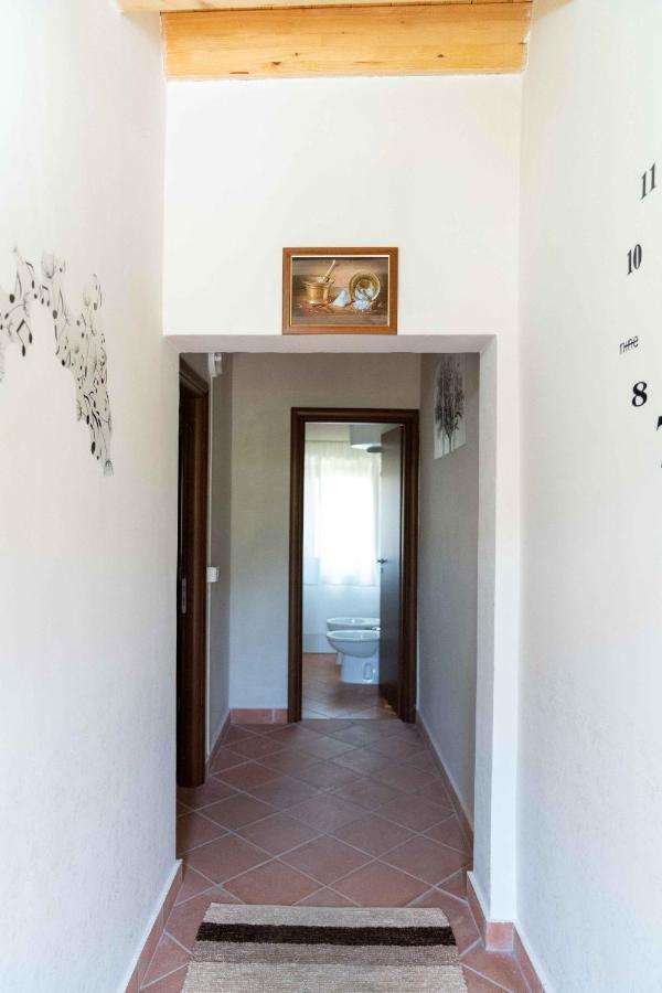 B&B Aria Antica Verbicaro Esterno foto